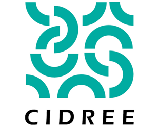 CIDREE AI – Artificial Intelligence: Preparing ourselves to prepare others